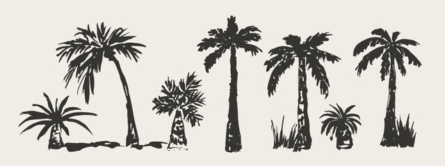 Fototapeta premium Hand drawn palm trees. Sketch palms. Design for logo, brand, card, book illustration, business identity. Vector icon.