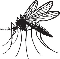 Obraz premium A silhouette mosquito vector design