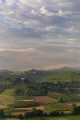 Naklejka premium Sunrise over vineyards in Piedmont near Cisterna D'Asti