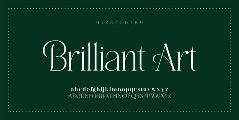 Signature Font Calligraphy Logotype Script Font Type Font lettering handwritten