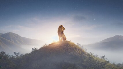 Majestic lion sits on a hill at sunset, overlooking mountains in the distance.