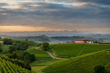 Naklejka premium Sunrise over vineyards near Cisterna D'asti, Piedmont