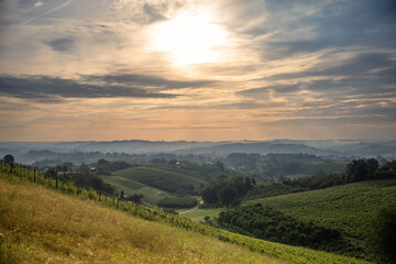 Obraz premium Sunrise over vineyards near Cisterna D'asti, Piedmont