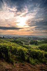 Naklejka premium Sunrise over vineyards near Cisterna D'asti, Piedmont