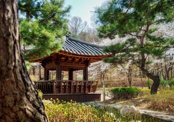 한국의 전통 휴식공간 팔각정