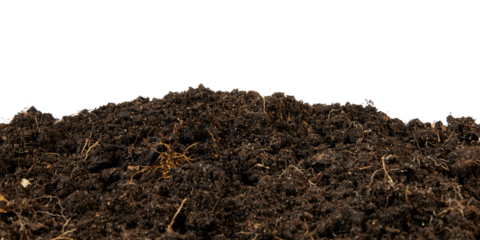 humus soil bottom border pile isolated on white or transparent png