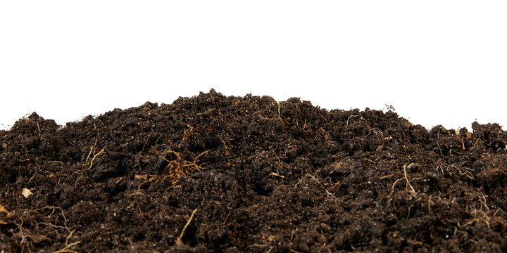 humus soil bottom border pile isolated on white or transparent png