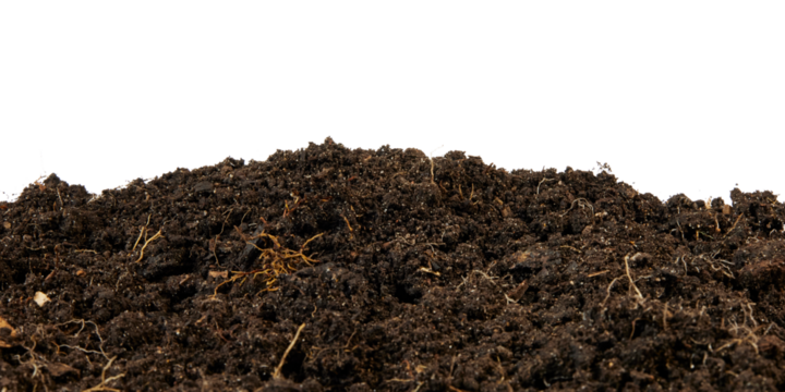 humus soil bottom border pile isolated on white or transparent png