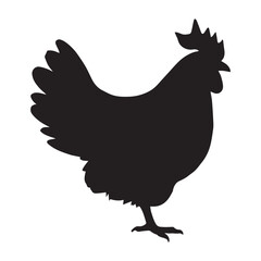 Chicken Silhouette Vector Illustration White Background.