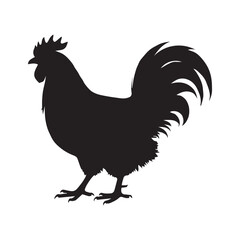 Chicken Silhouette Vector Illustration White Background.