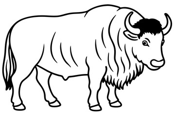 Musk Ox Elegant Linework