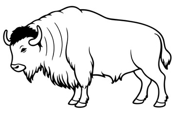 Musk Ox Elegant Linework