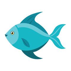  platy fish on white background.