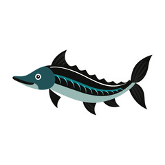   sturgeon fish on white background