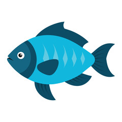  tilapia fish on white background