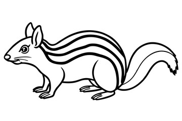 Numbat Ink Line Drawing