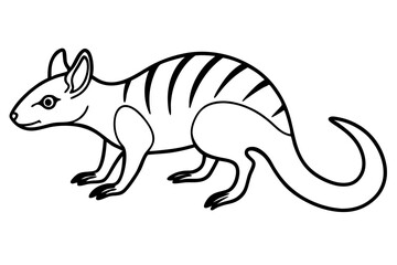 Numbat Ink Line Drawing