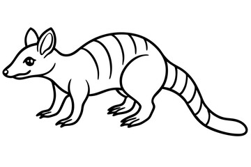 Numbat Ink Line Drawing