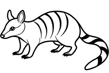 Numbat Ink Line Drawing