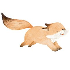 Hand-painted watercolor fox in the forest elements. Cute woodland animal illustration for kids, cards, and decoration.