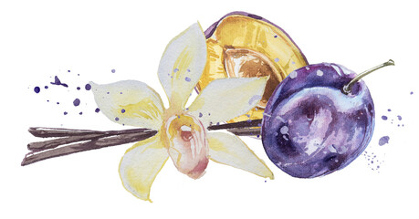 Watercolor hand painted plum and vanilla taste illustration isolated on a white background. Food or drink aroma design. Healthy food concept design. 