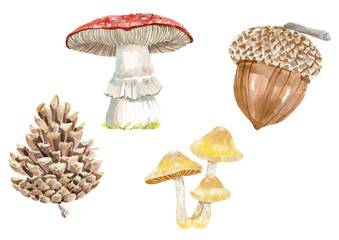 Watercolor forest element with hand-painted style. Perfect for cards, invitations, kids&rsquo; projects, and feminine designs.