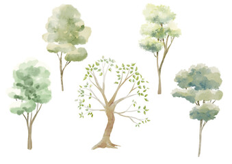 Watercolor Tree Element. Watercolor tree elements in various shapes. Hand-drawn forest trees for kids, nature themes, and eco designs.