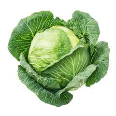 Obraz premium Fresh green cabbage isolated on a clean transparent background showcasing its vibrant leaves and round shape, cabbage isolated on transparent background