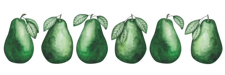 Watercolor illustration. Avocado set. Hand painted green, raw, ripe, whole avocado with green leaf. Avocado tree, plant. Fruit, berry. Food element. Isolated nature clip art