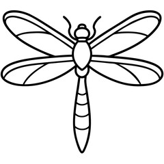 Stylized Sea Dragonfly Line Design