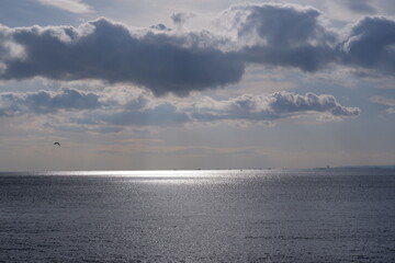 sea city t&uuml;rkiye cat boat history