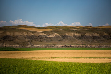 Obraz premium Wheat fields in the golden autumn in Tacheng, Xinjiang, China