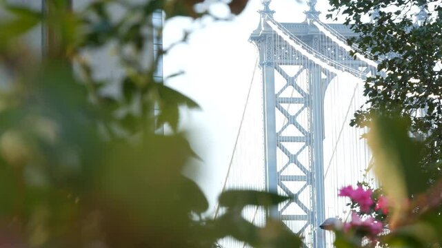 Manhattan Bridge to Brooklyn Dumbo. New York City symbol, USA travel destination. Architecture of United States of America, tourist landmark. Cables, sky thru park tree leaves and flower bloom.