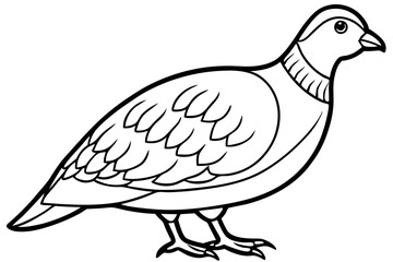 Quail Outline Illustration