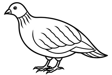 Quail Outline Illustration