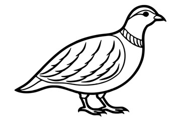 Quail Outline Illustration
