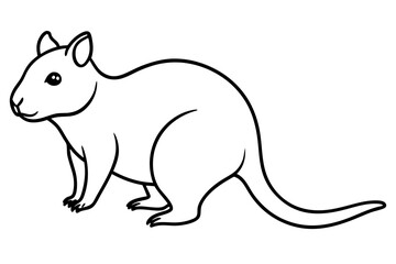 Quokka Outline Illustration