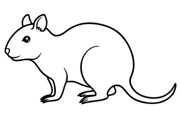 Quokka Outline Illustration