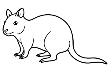 Quokka Outline Illustration
