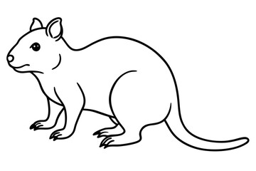 Quokka Outline Illustration