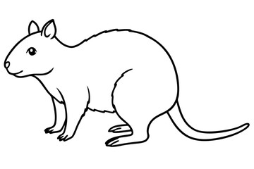 Quokka Outline Illustration