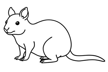 Quokka Outline Illustration