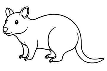 Quokka Outline Illustration