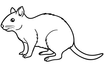 Quokka Outline Illustration