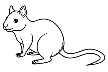 Quokka Outline Illustration