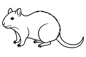 Quokka Outline Illustration