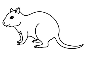 Quokka Outline Illustration