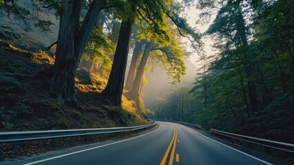 A two-lane highway cuts through a dense forest with autumn leaves, suggesting a peaceful and scenic journey.