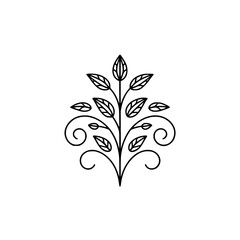 Elegant Black Line Art Branch Logo, Minimalist Floral Design