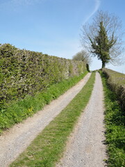 Dirt road in the countryside